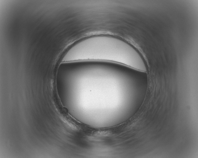 X0000064050063200601271009