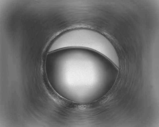 X0000064050064200601271009