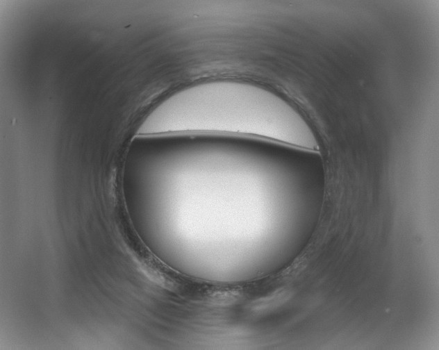 X0000064050066200601271009