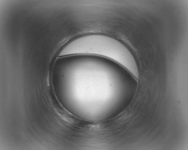 X0000064050068200601271009