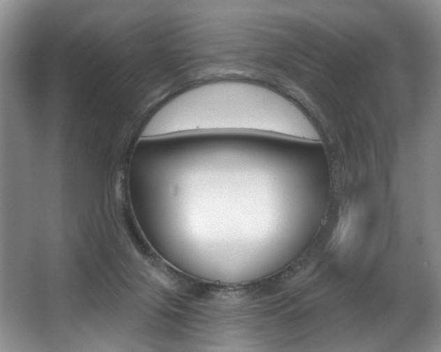 X0000064050071200601271009