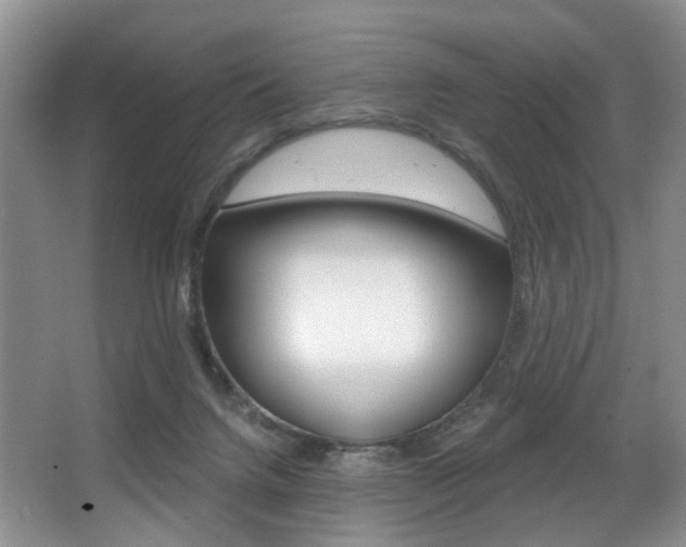 X0000064050072200601271009