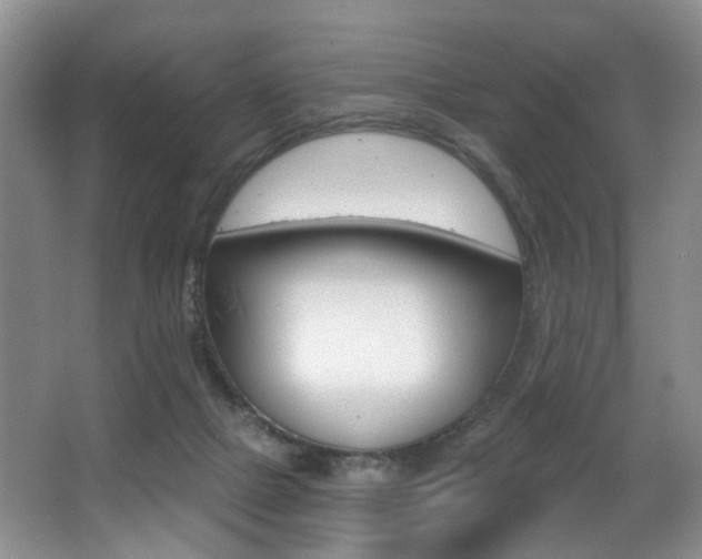 X0000064050073200601271009
