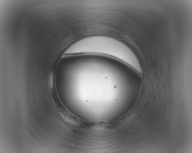 X0000064050076200601271009
