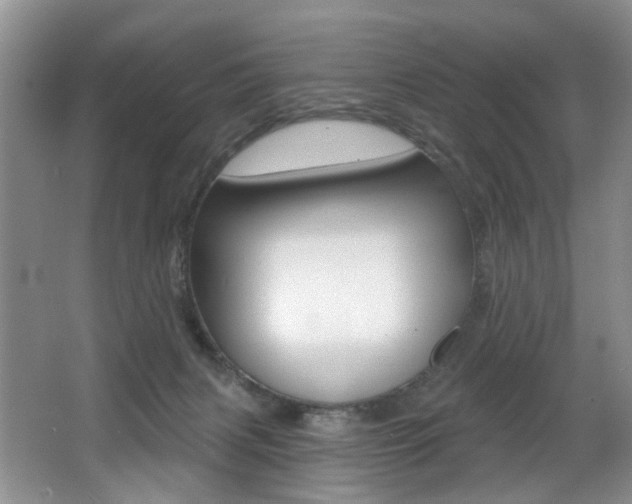 X0000064050079200601271009