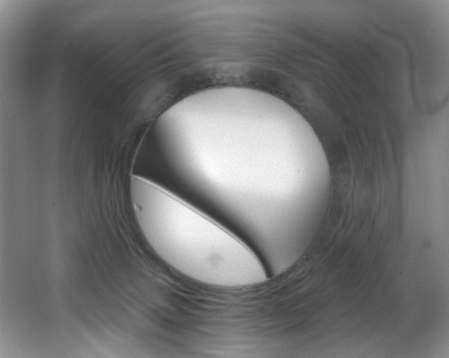 X0000064050083200601271009