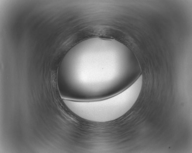 X0000064050092200601271010