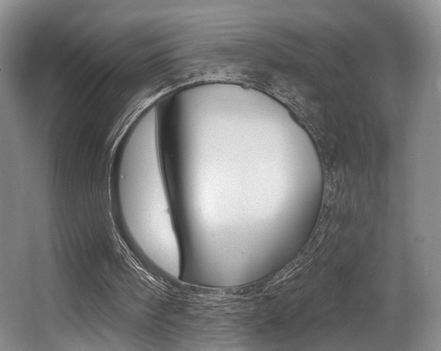 X0000064050098200601271009
