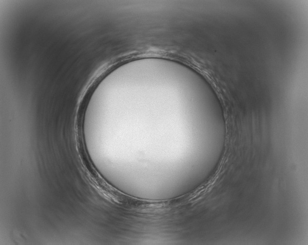 X0000064050102200601271009