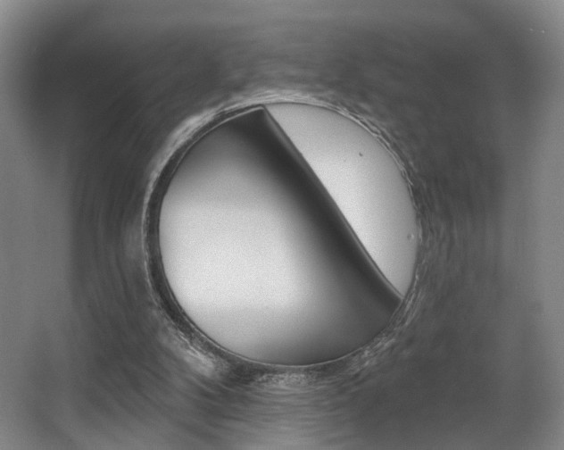 X0000064050104200601271009