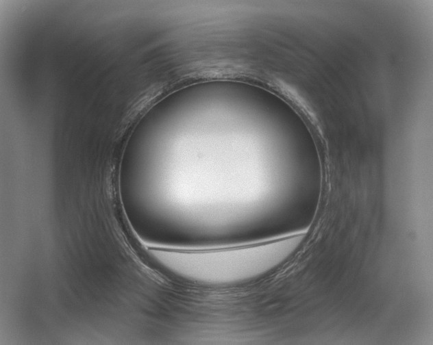 X0000064050105200601271009