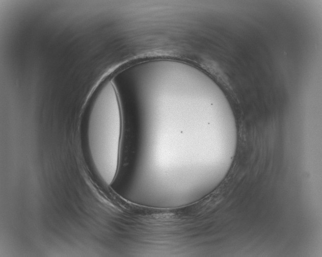 X0000064050108200601271009