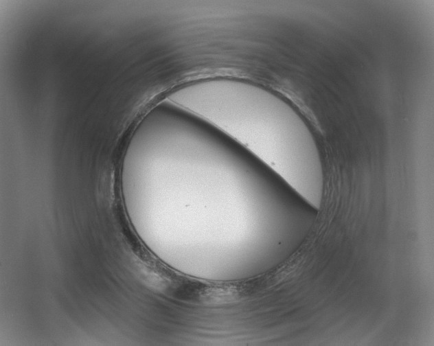 X0000064050110200601271009