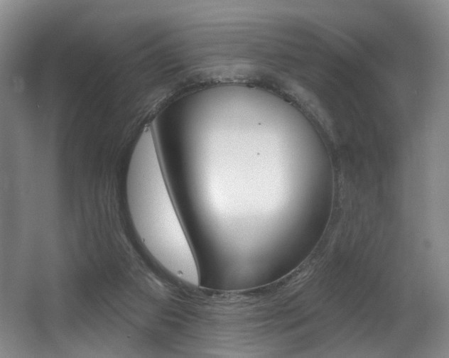 X0000064050113200601271009