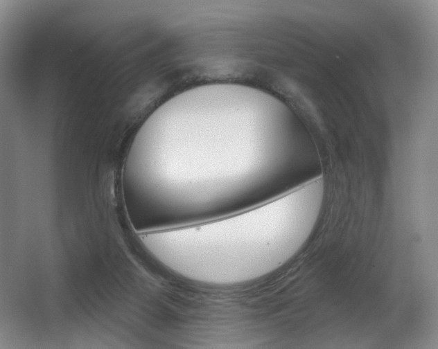 X0000064050115200601271008
