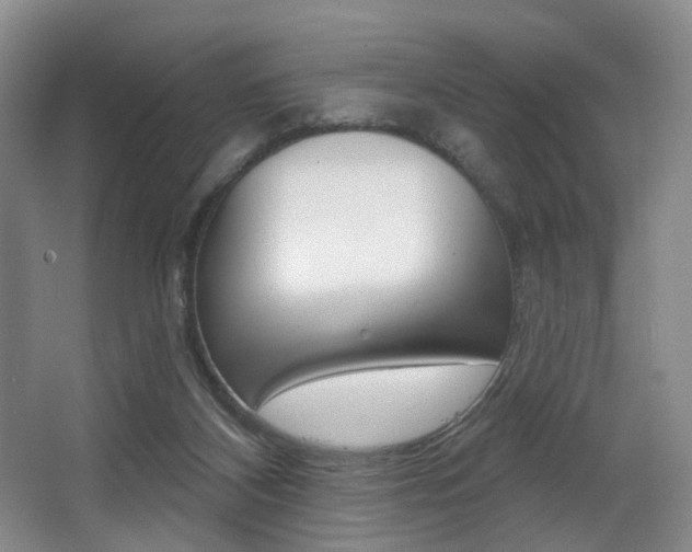 X0000064050116200601271008