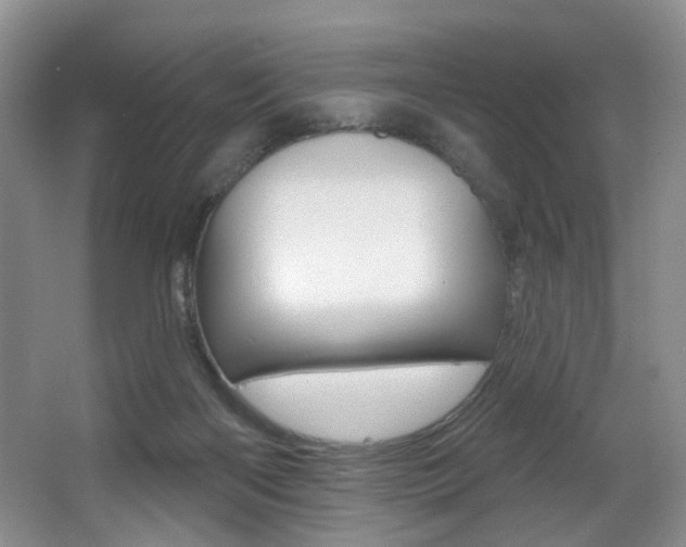 X0000064050122200601271008