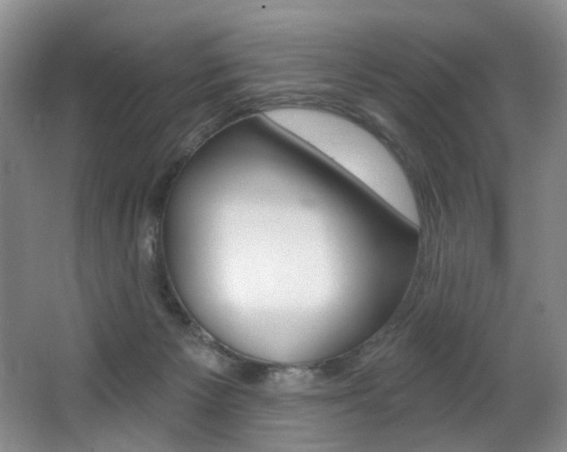 X0000064050125200601271008