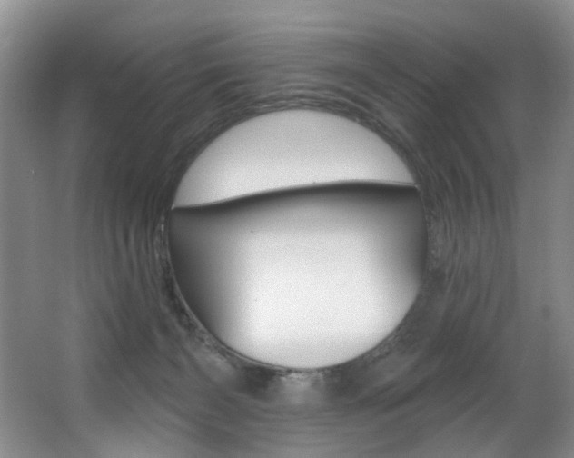 X0000064050126200601271008