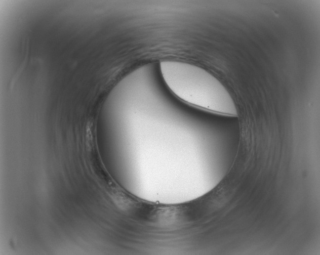 X0000064050127200601271008