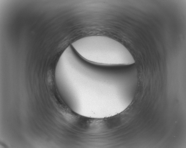 X0000064050132200601271008