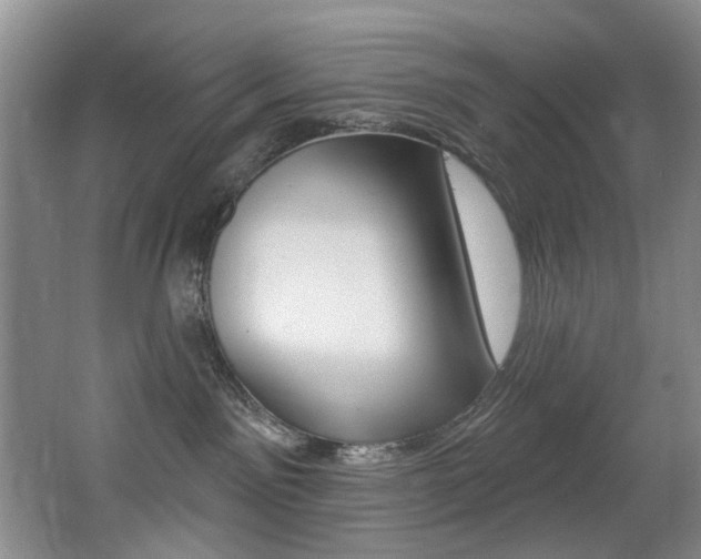 X0000064050141200601271008