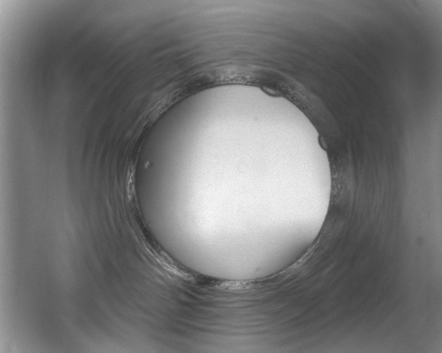 X0000064050142200601271008