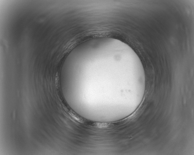 X0000064050144200601271008