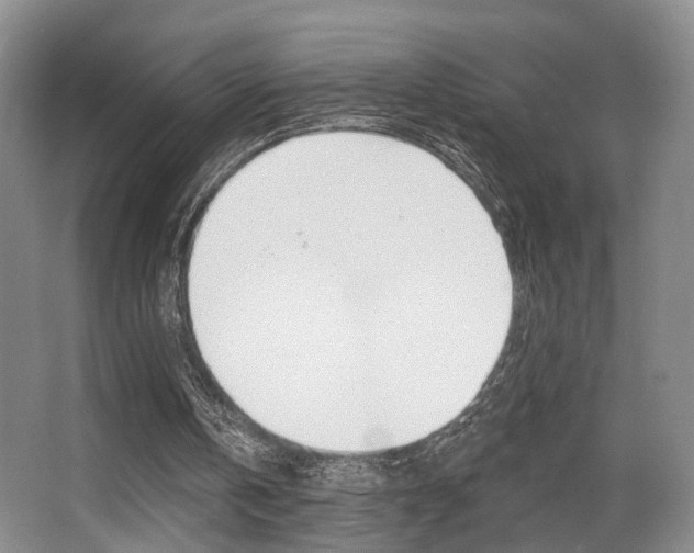 X0000064050146200601271007
