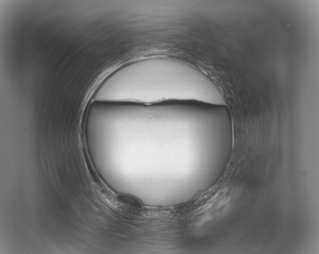 X0000064050147200601271007
