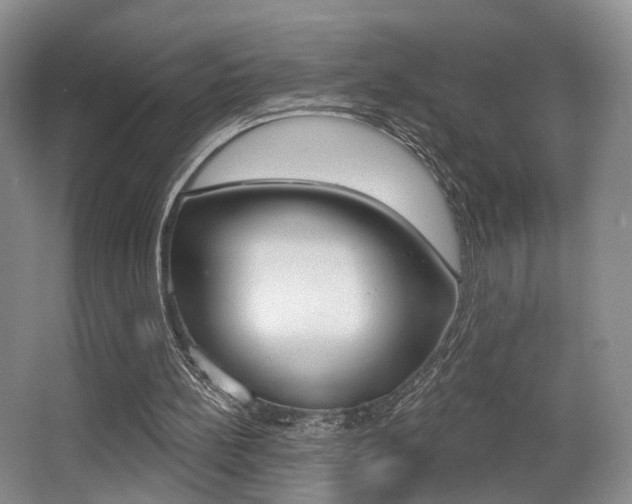 X0000064050148200601271007