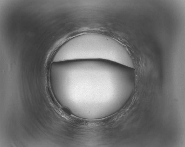 X0000064050149200601271007
