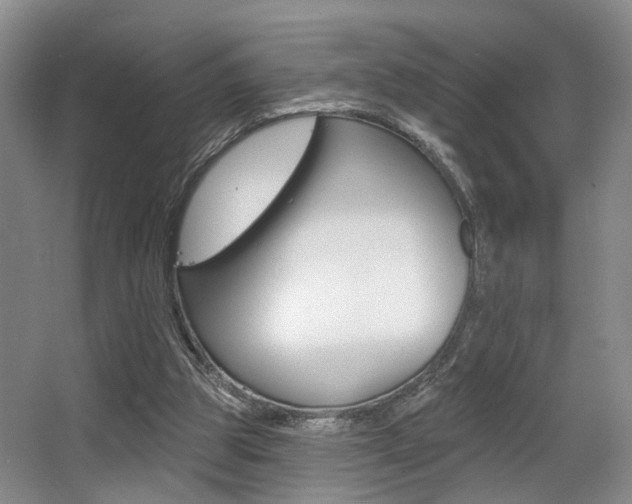 X0000064050153200601271007