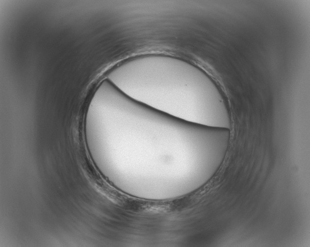 X0000064050155200601271007