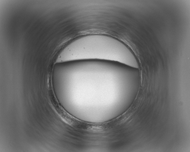 X0000064050157200601271007