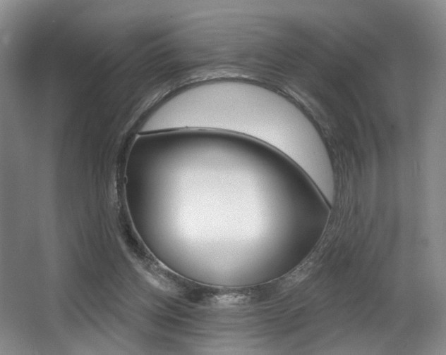 X0000064050158200601271007