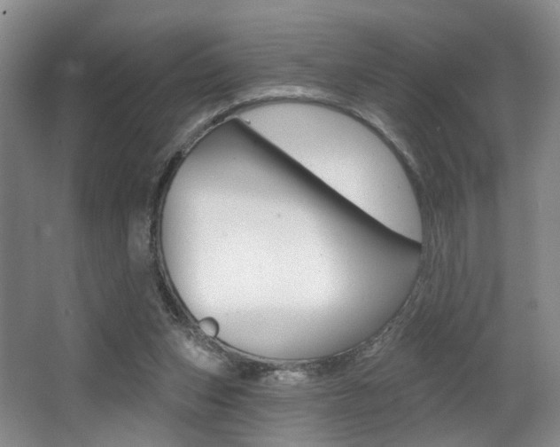X0000064050159200601271007