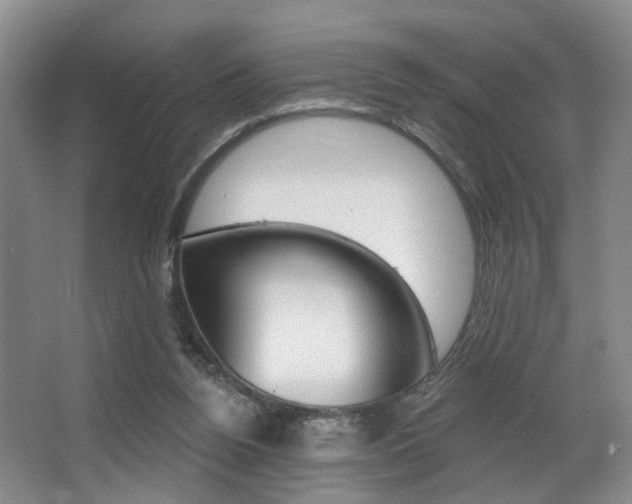 X0000064050160200601271007