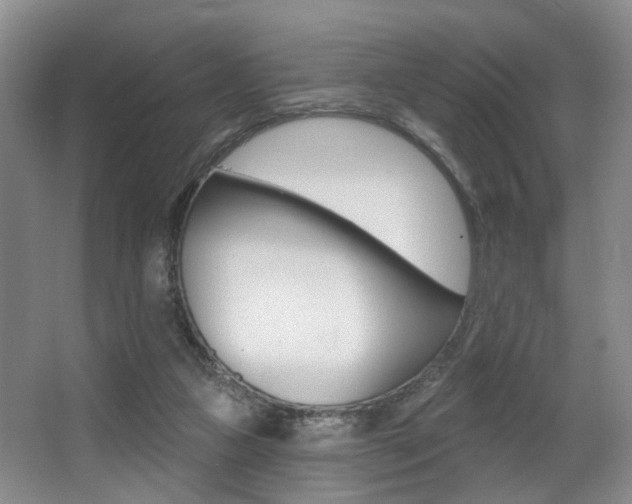 X0000064050161200601271007