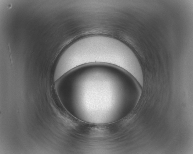 X0000064050164200601271008