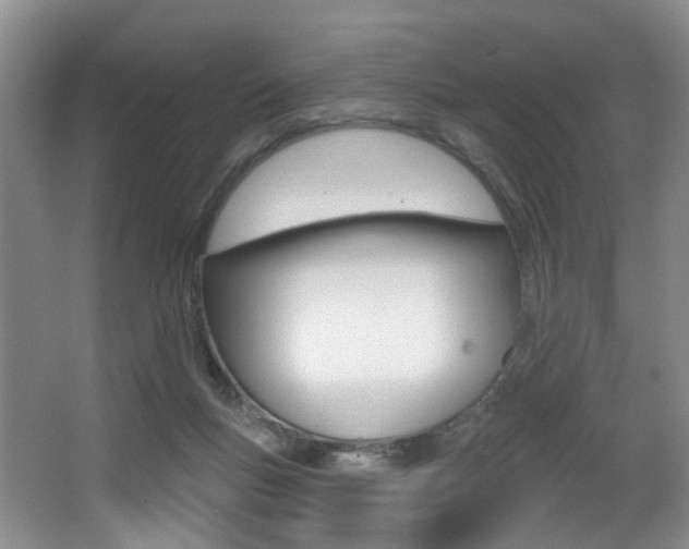 X0000064050167200601271008