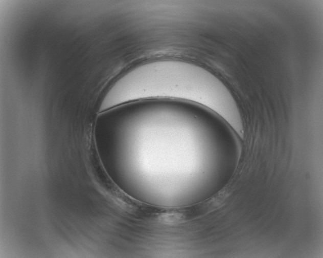 X0000064050168200601271008