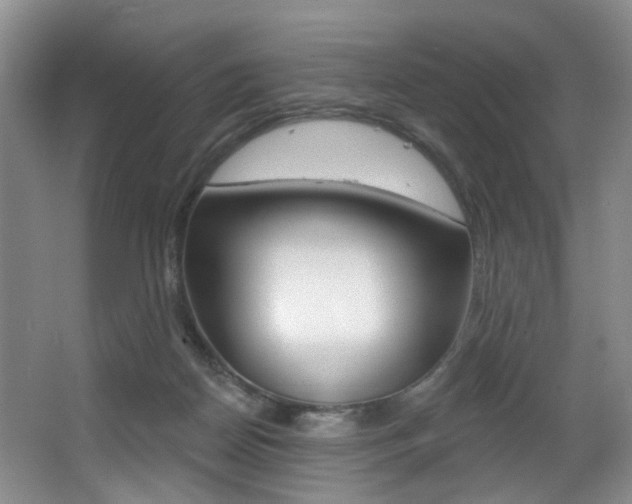 X0000064050170200601271008