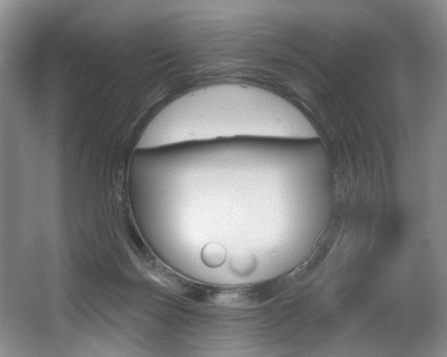 X0000064050171200601271008