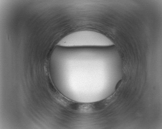 X0000064050175200601271008