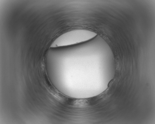 X0000064050179200601271008