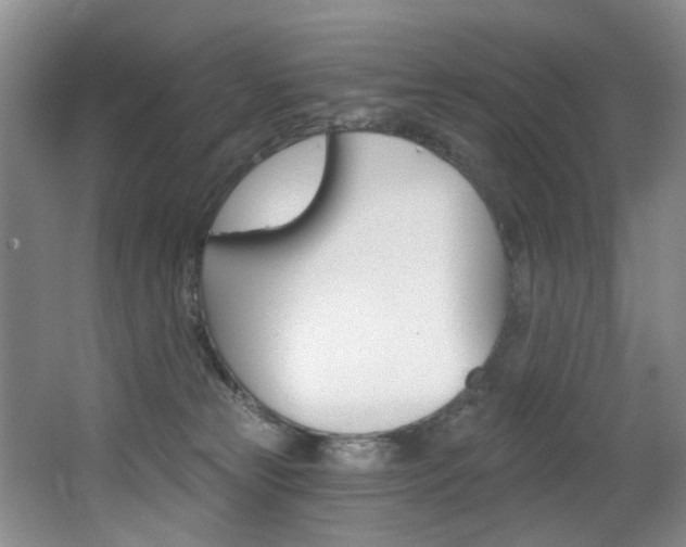 X0000064050181200601271008