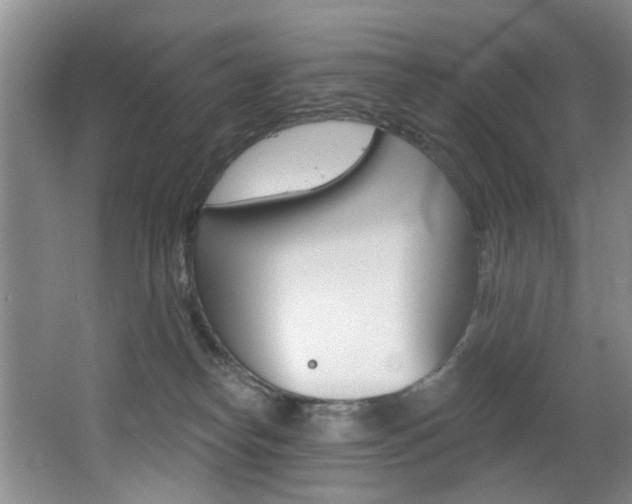X0000064050182200601271008
