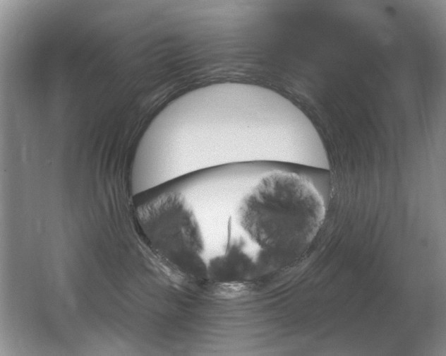 X0000064050189200601271008
