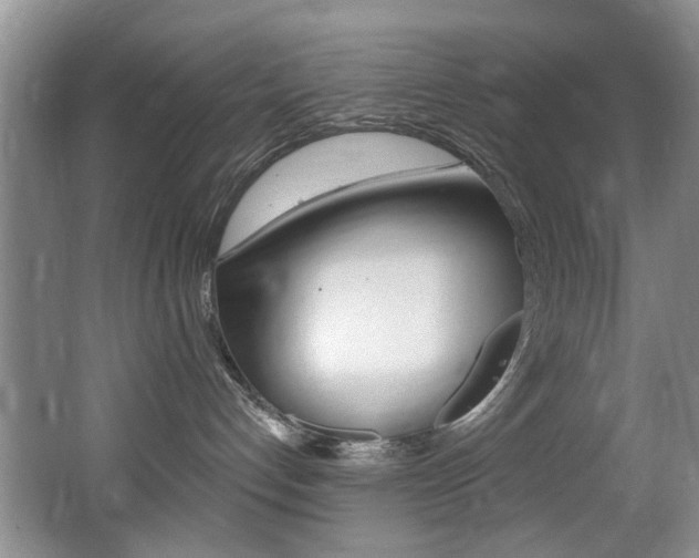 X0000064050192200601271008